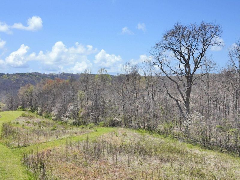 0 Covered Bridge Road , Vinton, OH 45686 Photo 3