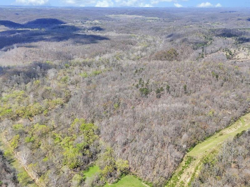 0 Covered Bridge Road , Vinton, OH 45686 Photo 37