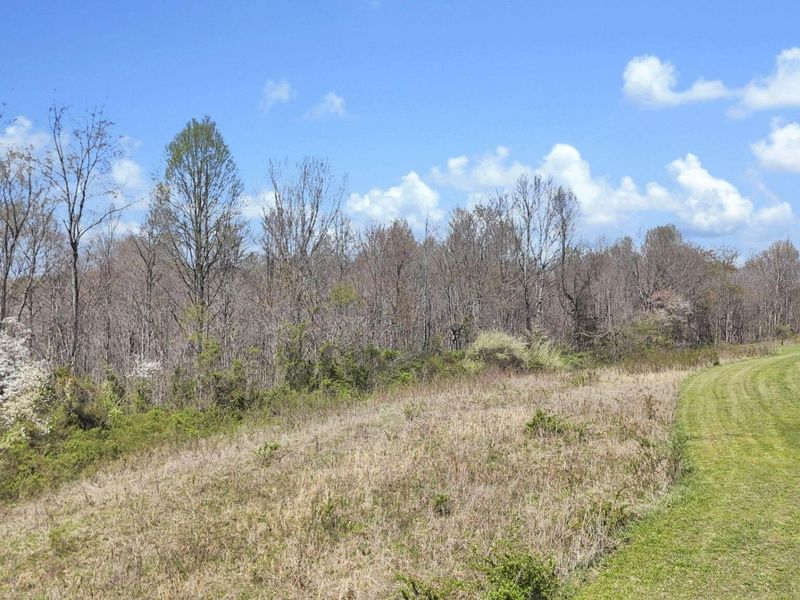 0 Covered Bridge Road , Vinton, OH 45686 Photo 4