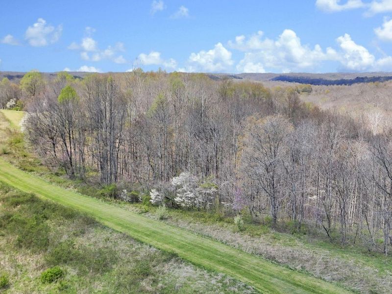 0 Covered Bridge Road , Vinton, OH 45686 Photo 8