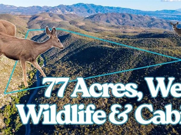 28618 Chihuahua Valley Road, Warner Springs, CA 92086