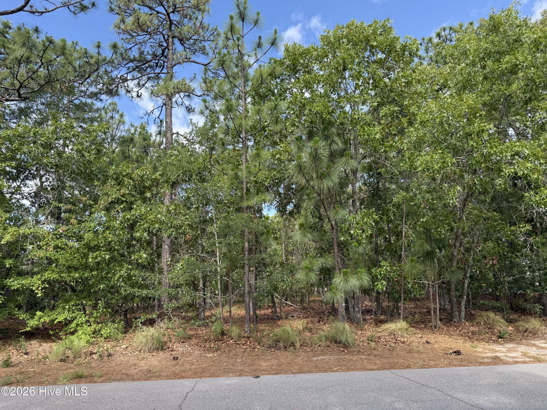 13 Kahkwa Trail, Pinehurst, NC 28374 Main Photo