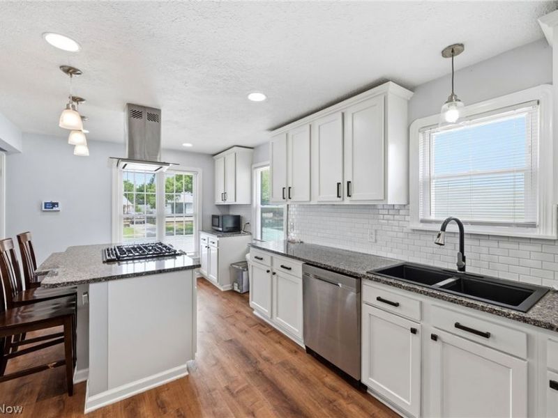 13101 Tyler Avenue, Cleveland, OH 44111 Photo 10