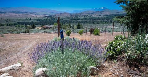 146 Pioneer Trail, Markleeville, CA 96120 Photo