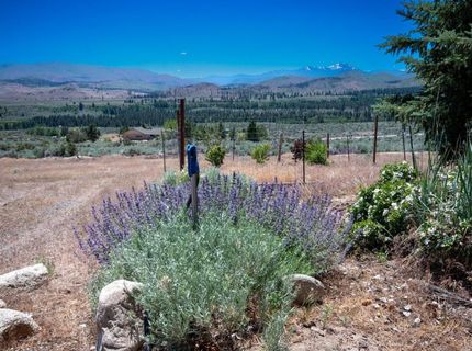 146 Pioneer Trail, Markleeville, CA 96120 Photo