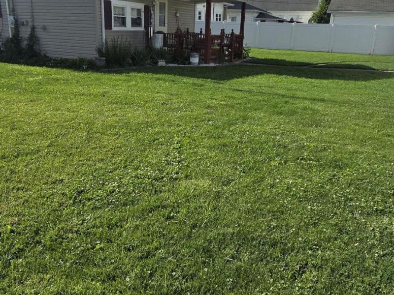 312 S Wall Street, Covington, OH 45318 Photo 6