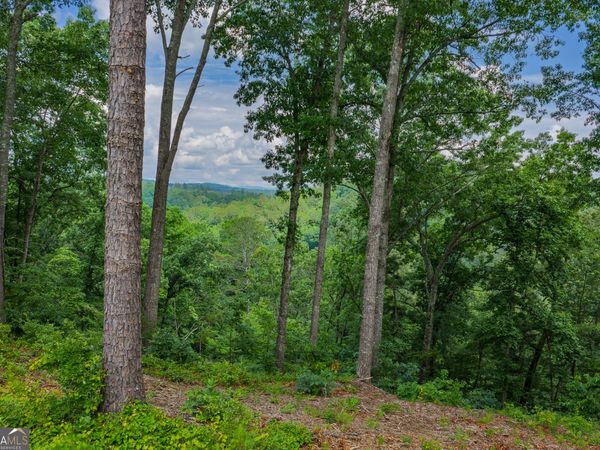 LOT 295A Pebble Trace, Talking Rock, GA 30175