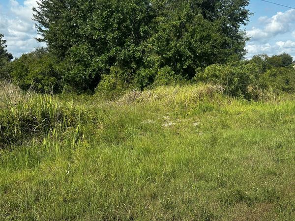 15138 NW 262nd Street, Okeechobee, FL 34972