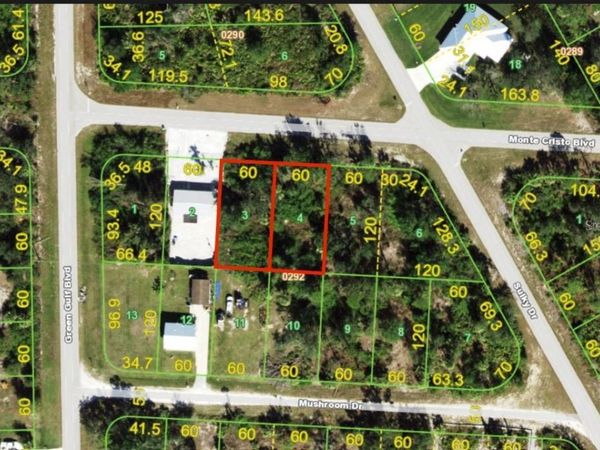 27045 & 27039 MONTE CRISTO BOULEVARD , PUNTA GORDA, FL 33955