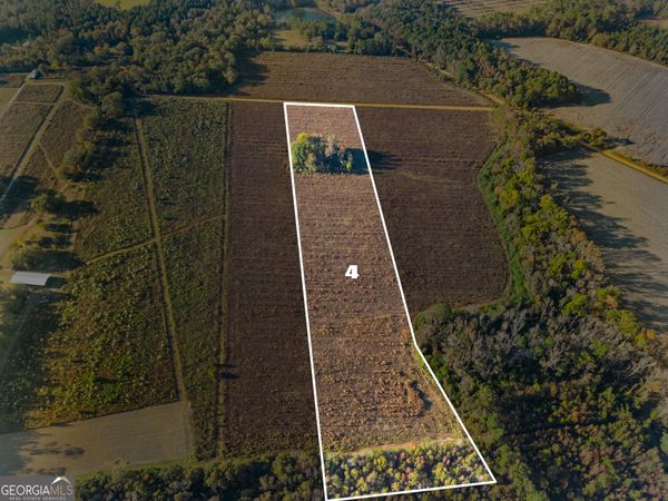 0 Waters Lane, Unit LOT 4, Claxton, GA 30417