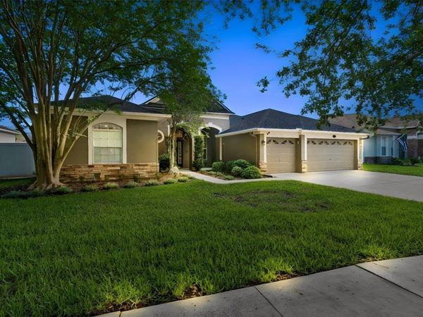 3820 MISTY LANDING DRIVE , VALRICO, FL 33594