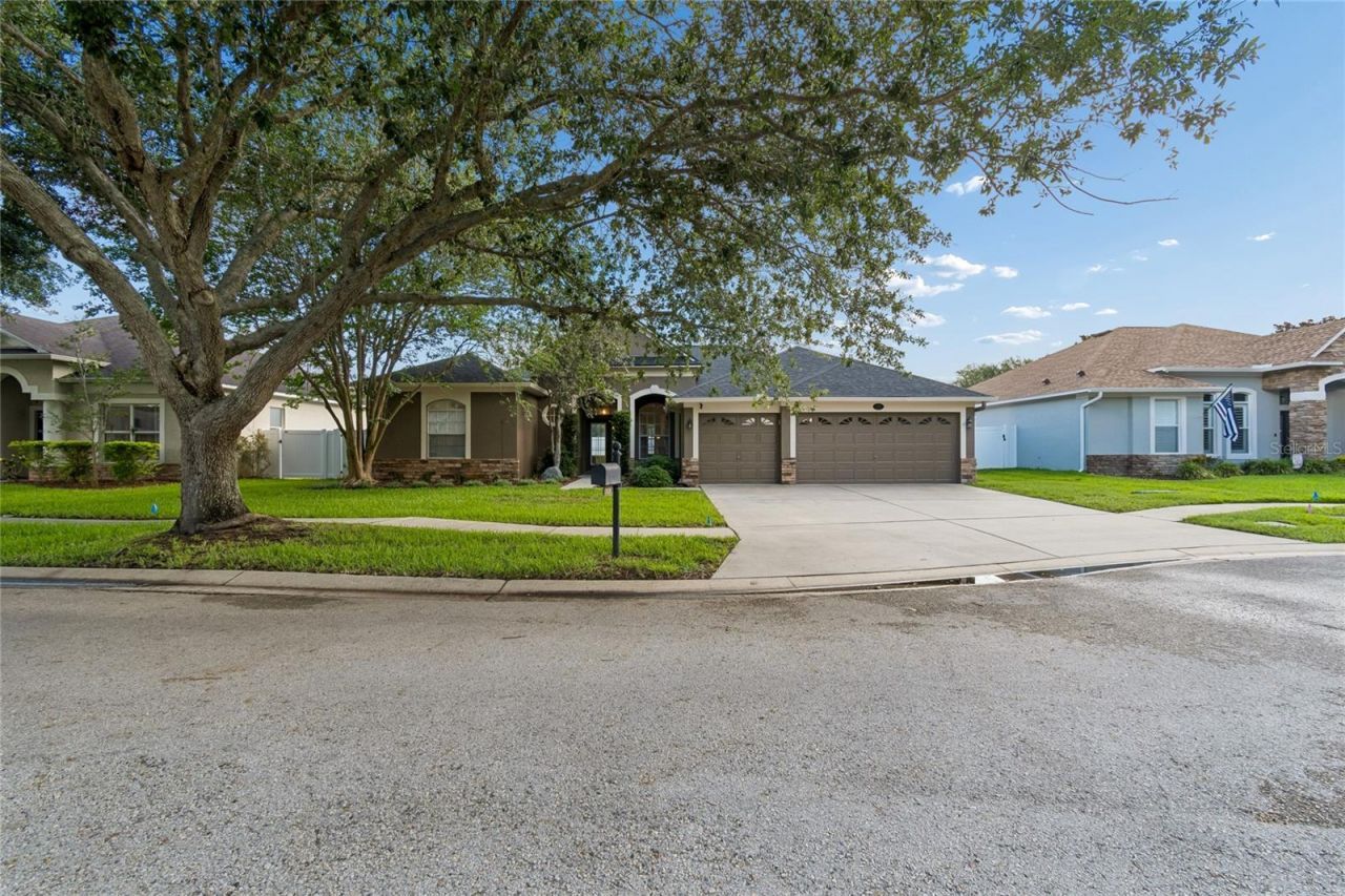 3820 Misty Landing Drive, Valrico, FL 33594 Photo