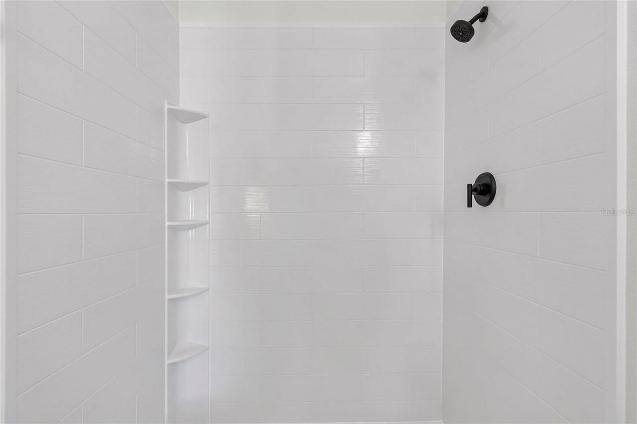 3820 Misty Landing Drive, Valrico, FL 33594 Photo