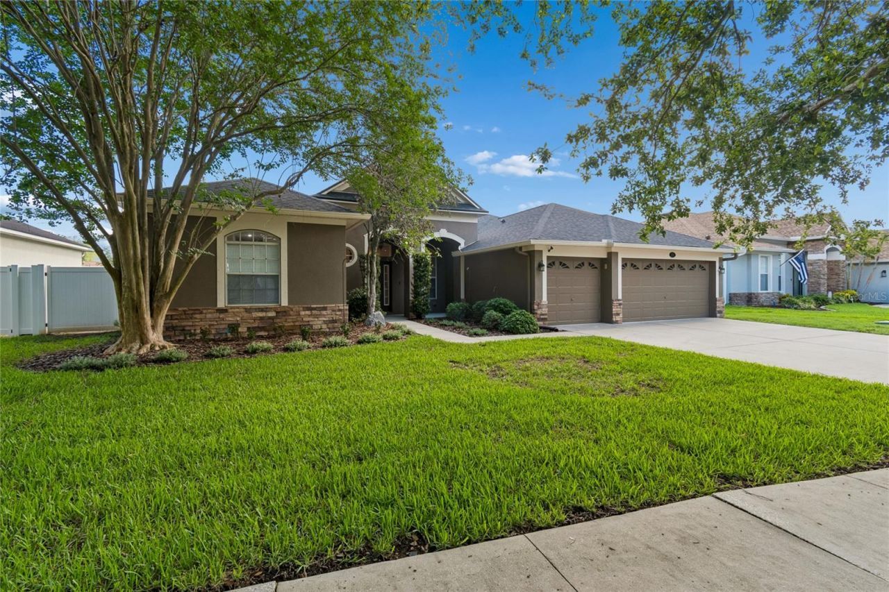 3820 Misty Landing Drive, Valrico, FL 33594 Photo