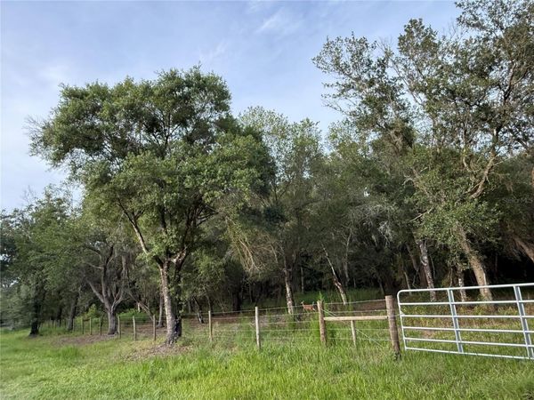 SE BROWN ROAD , ARCADIA, FL 34266