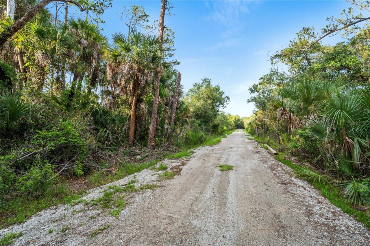 Slash Pine Drive , North Port, FL 34291 Photo