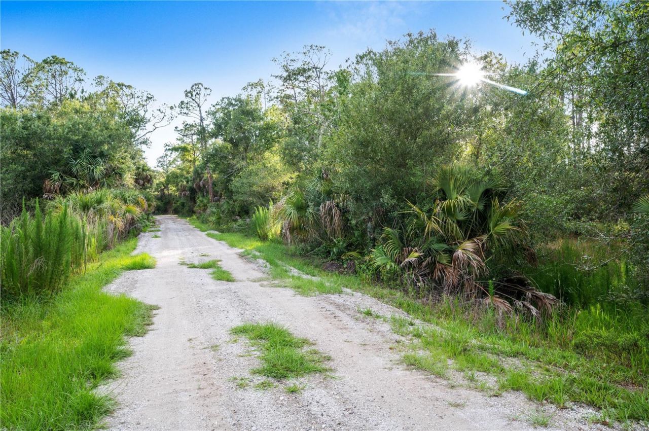 Slash Pine Drive , North Port, FL 34291 Photo