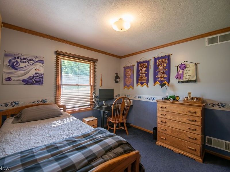 8334 Bailey Road NE, Mineral City, OH 44656 Photo 33