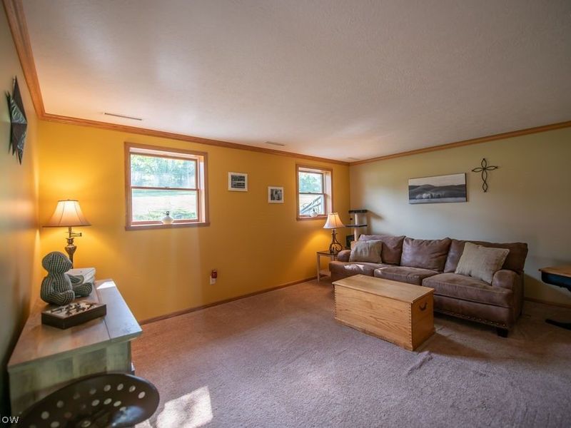8334 Bailey Road NE, Mineral City, OH 44656 Photo 38