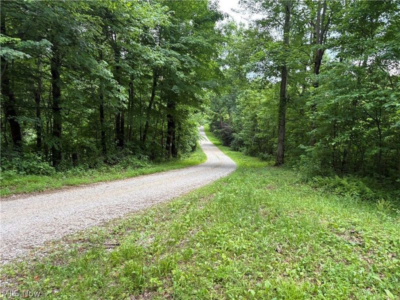 38532 Township Rd 13, Sardis, OH 43946 Photo 13