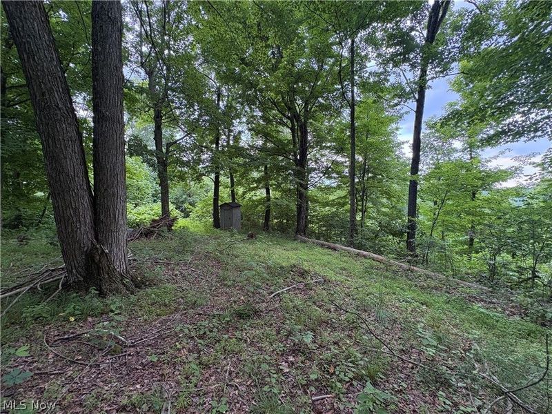 38532 Township Rd 13, Sardis, OH 43946 Photo 6