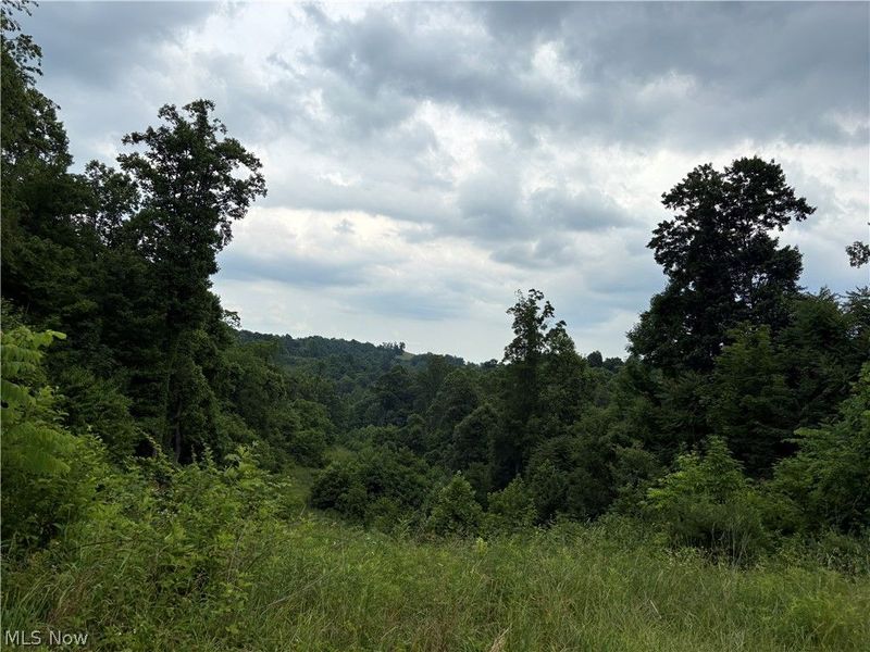 38532 Township Rd 13, Sardis, OH 43946 Photo 8