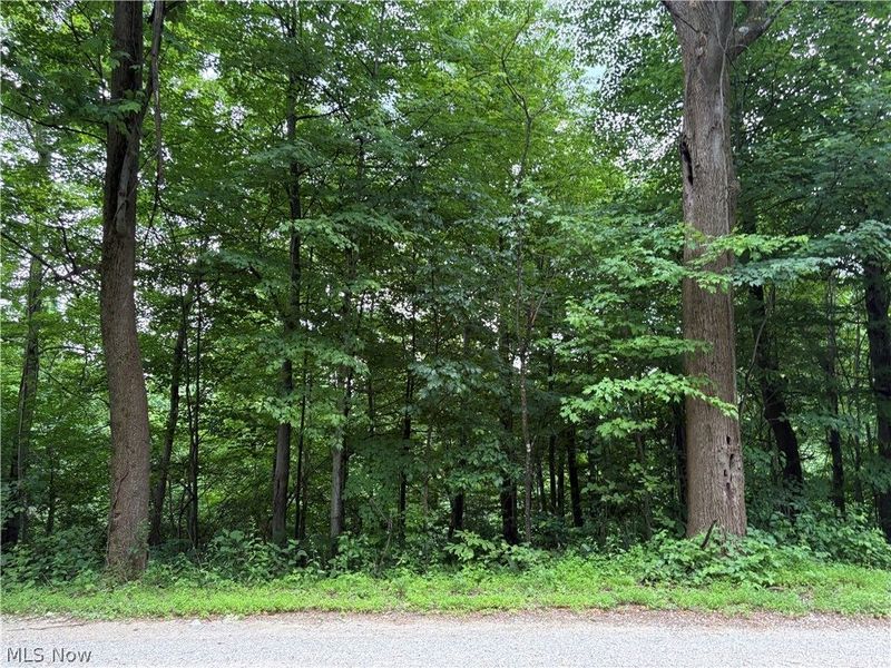38532 Township Rd 13, Sardis, OH 43946 Photo 9