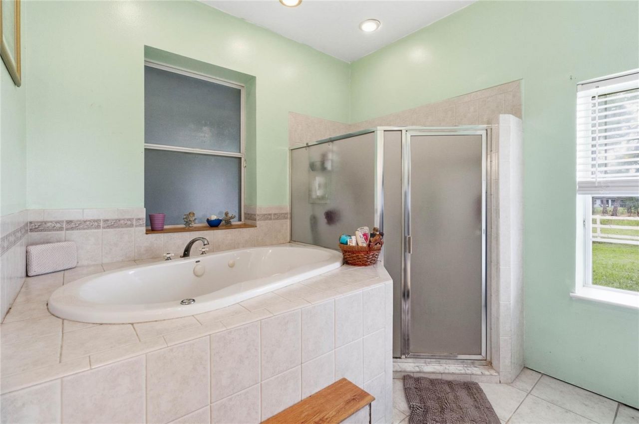 31243 Bear Pond Drive, Sorrento, FL 32776 Photo
