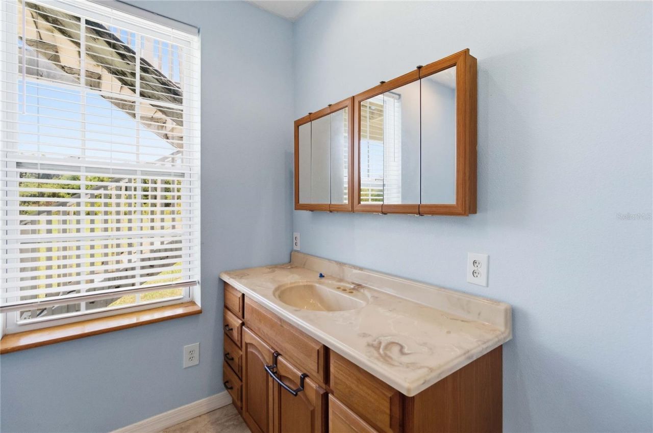 31243 Bear Pond Drive, Sorrento, FL 32776 Photo