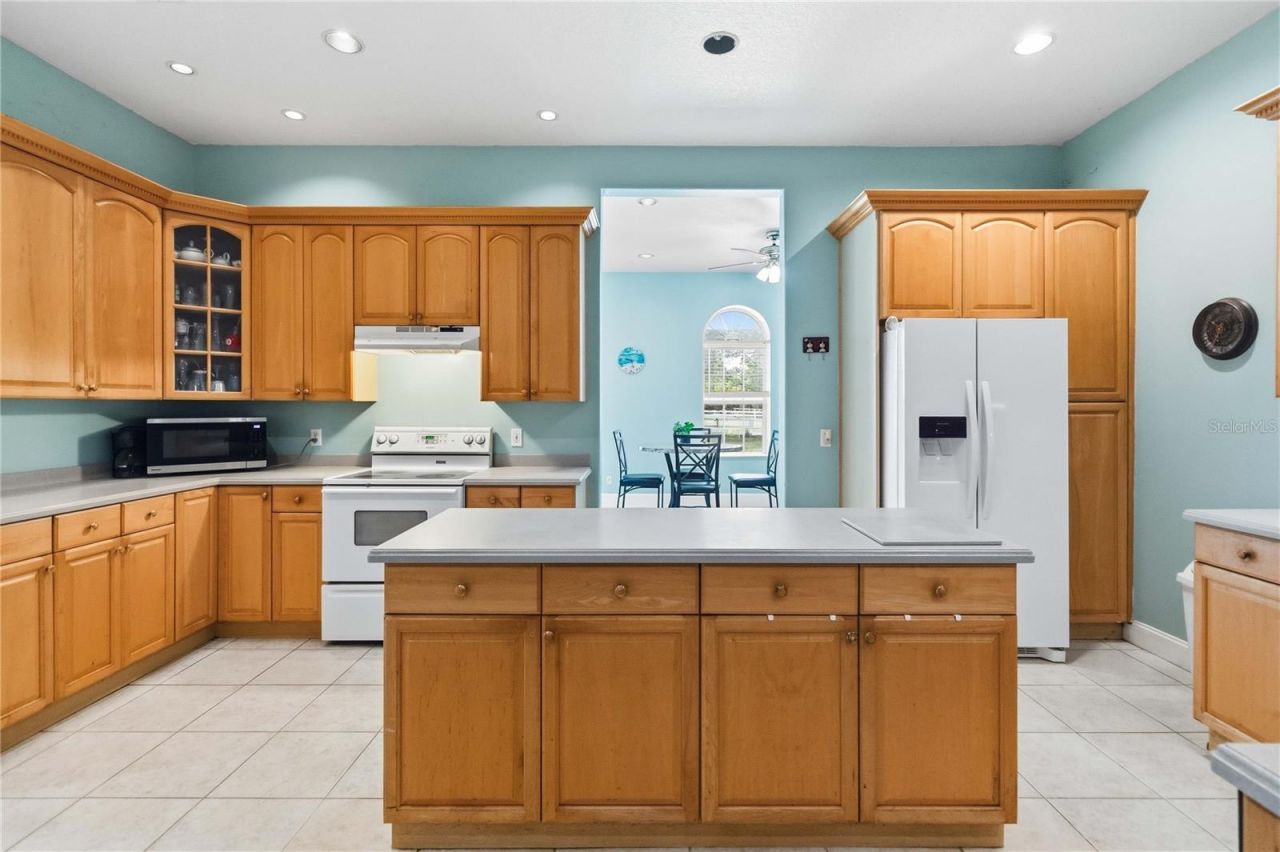 31243 Bear Pond Drive, Sorrento, FL 32776 Photo