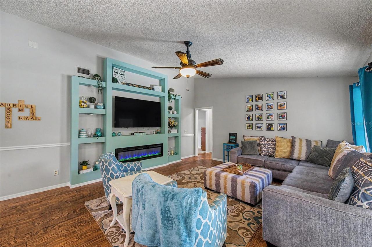 3916 Broomsedge Lane, Valrico, FL 33596 Photo