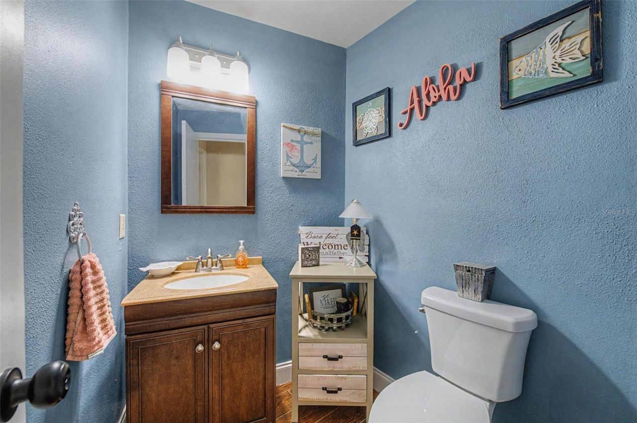 3916 Broomsedge Lane, Valrico, FL 33596 Photo