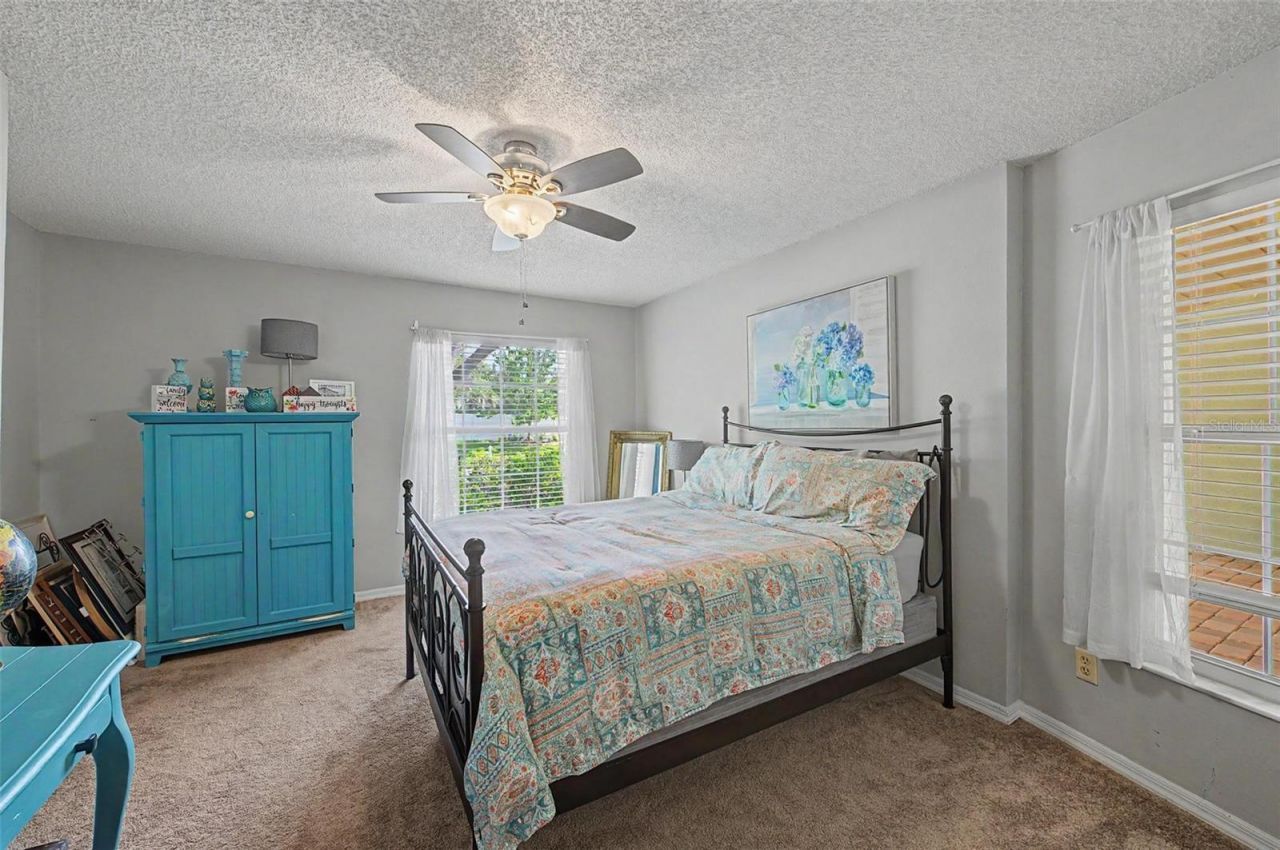 3916 Broomsedge Lane, Valrico, FL 33596 Photo