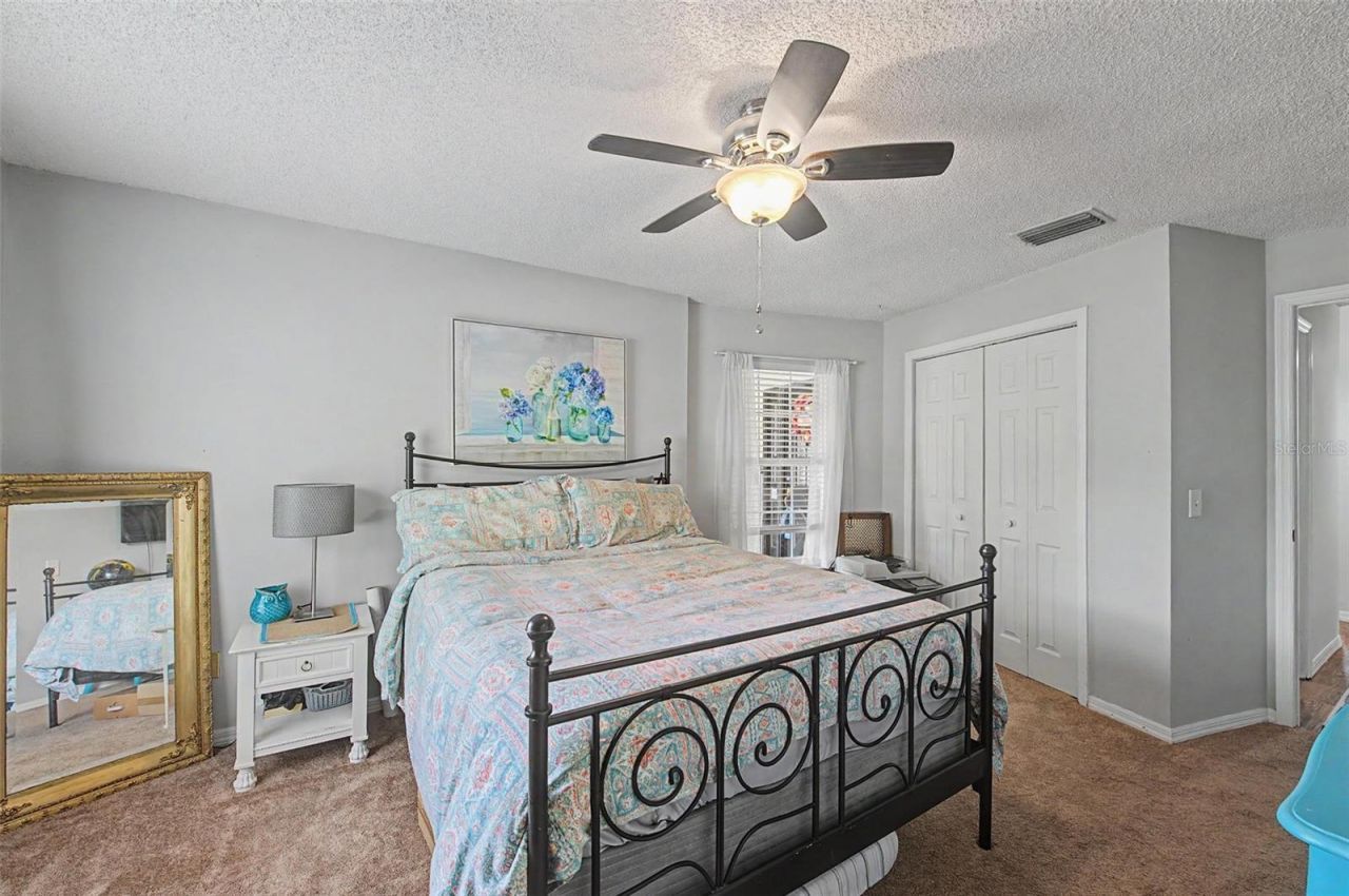 3916 Broomsedge Lane, Valrico, FL 33596 Photo