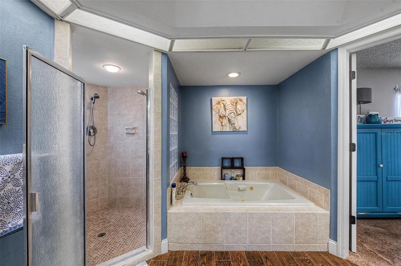 3916 Broomsedge Lane, Valrico, FL 33596 Photo