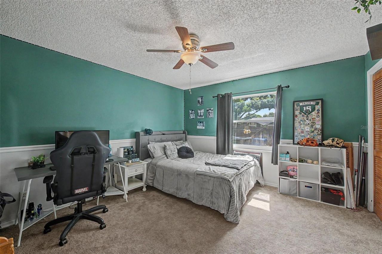 3916 Broomsedge Lane, Valrico, FL 33596 Photo