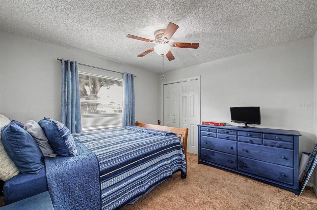 3916 Broomsedge Lane, Valrico, FL 33596 Photo