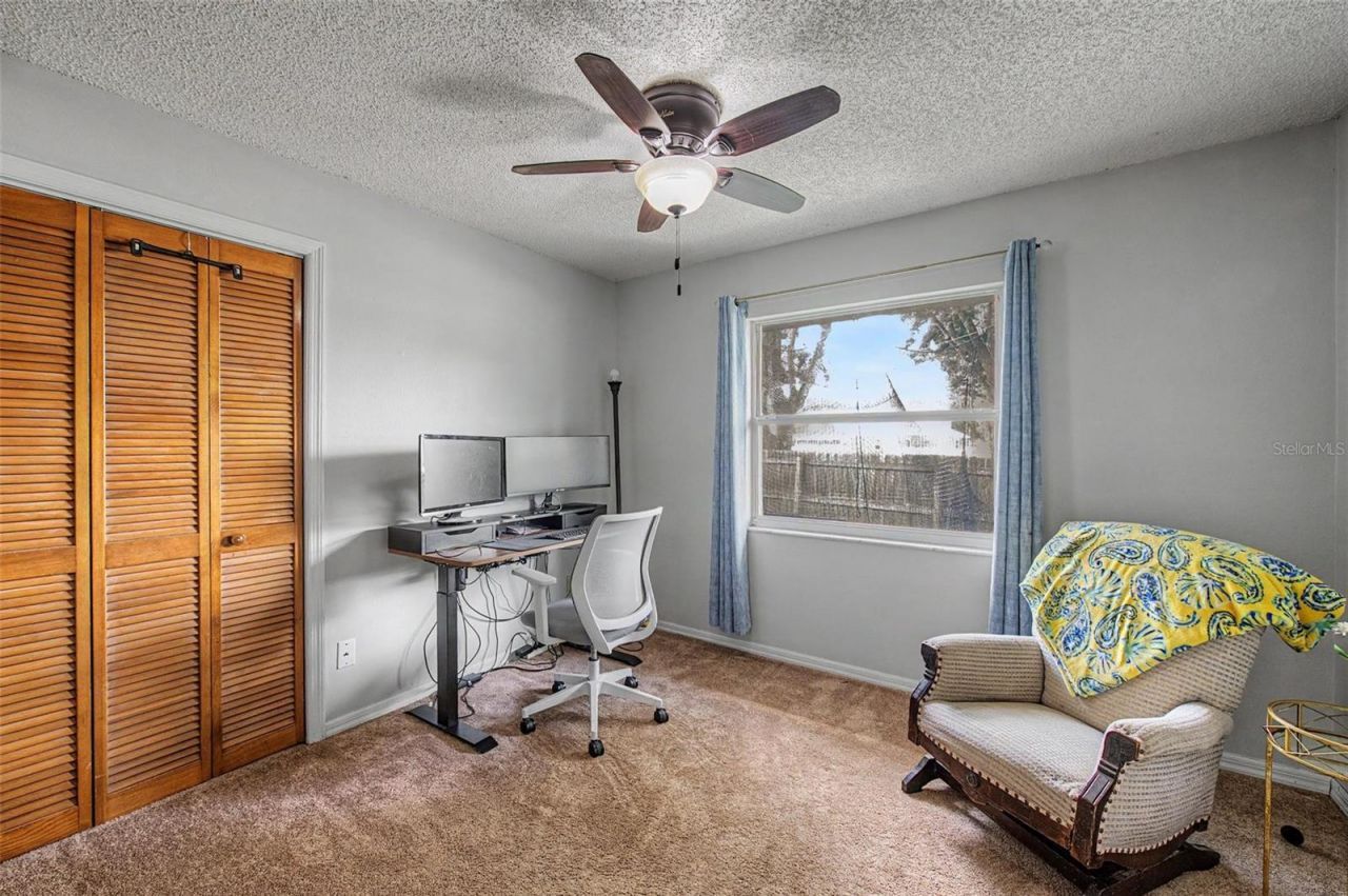 3916 Broomsedge Lane, Valrico, FL 33596 Photo