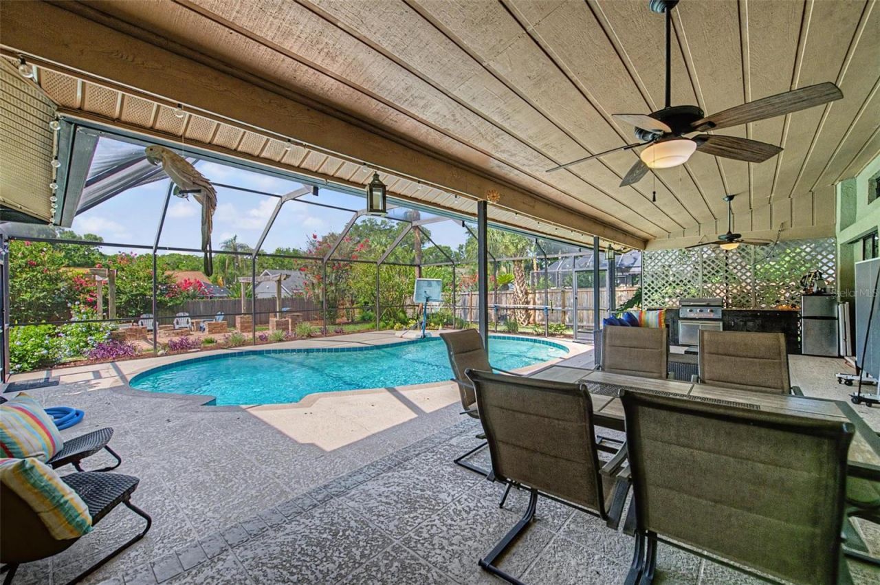 3916 Broomsedge Lane, Valrico, FL 33596 Photo