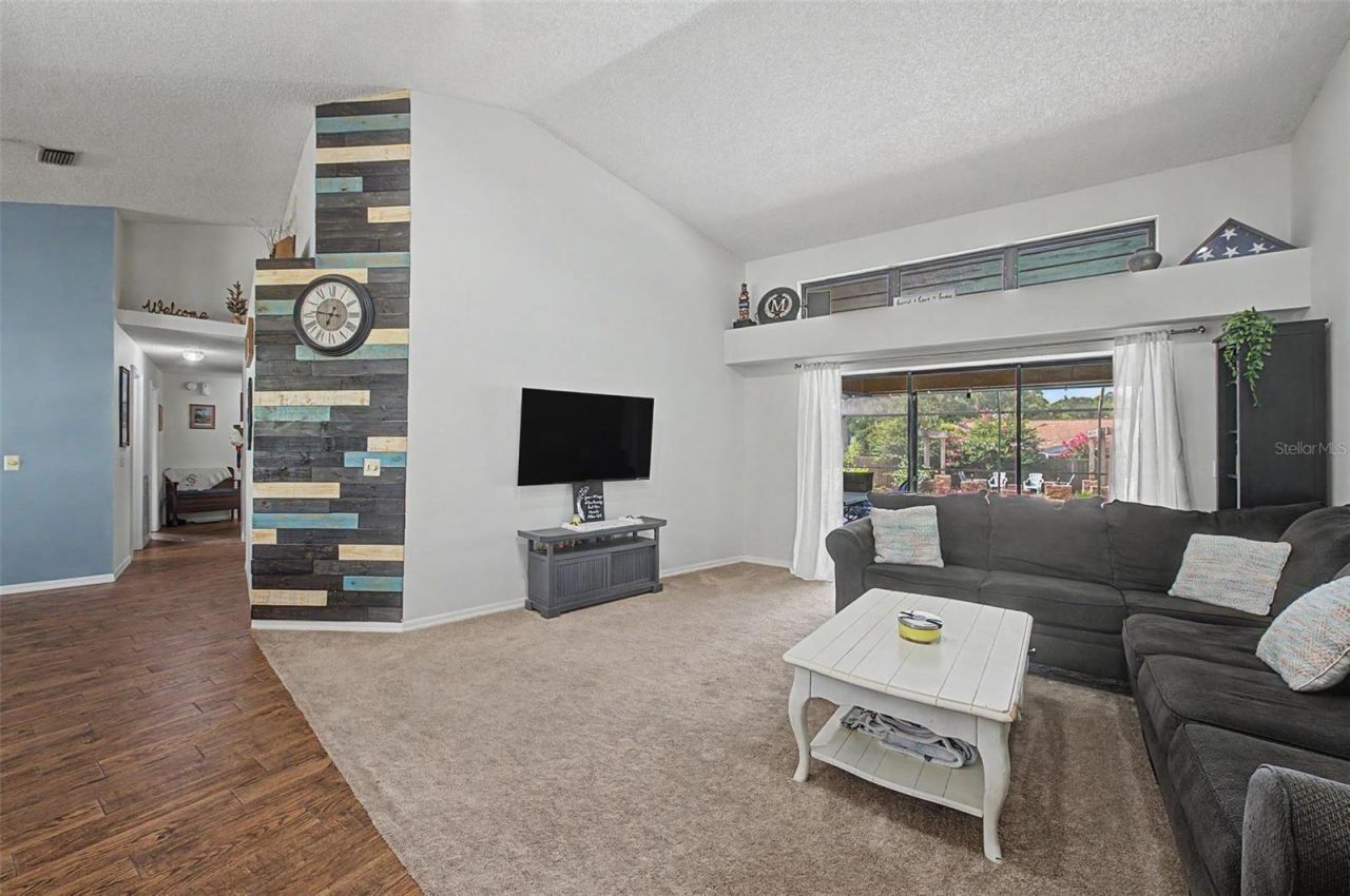 3916 Broomsedge Lane, Valrico, FL 33596 Photo