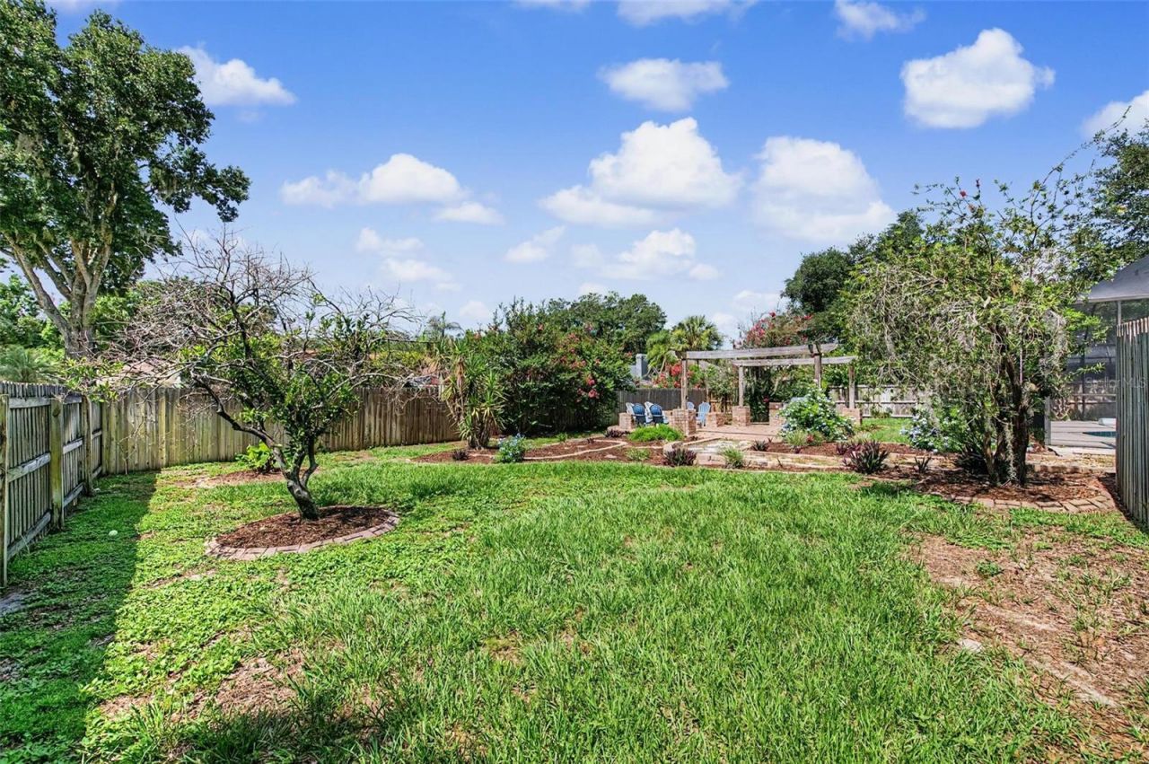 3916 Broomsedge Lane, Valrico, FL 33596 Photo