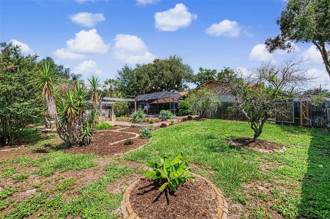 3916 Broomsedge Lane, Valrico, FL 33596 Photo