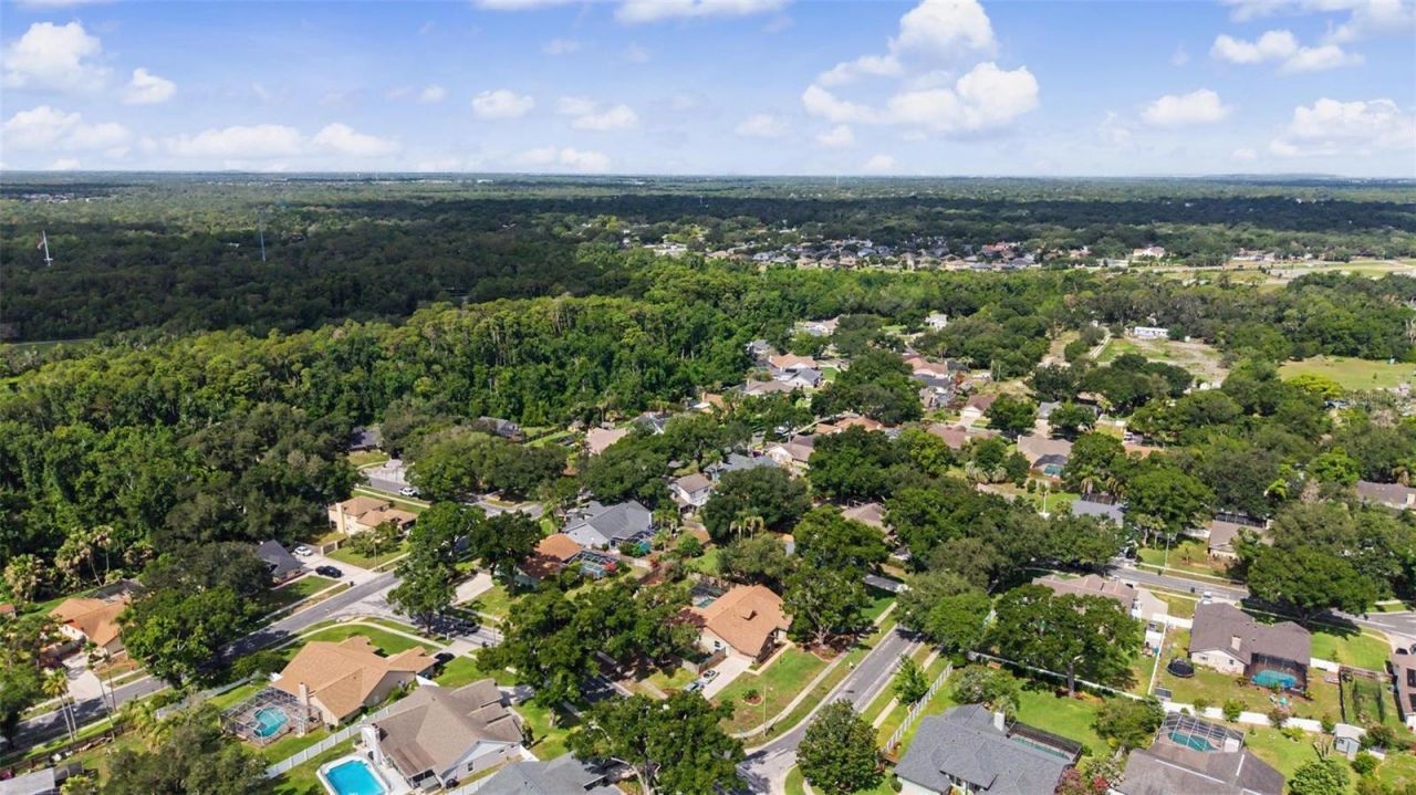 3916 Broomsedge Lane, Valrico, FL 33596 Photo