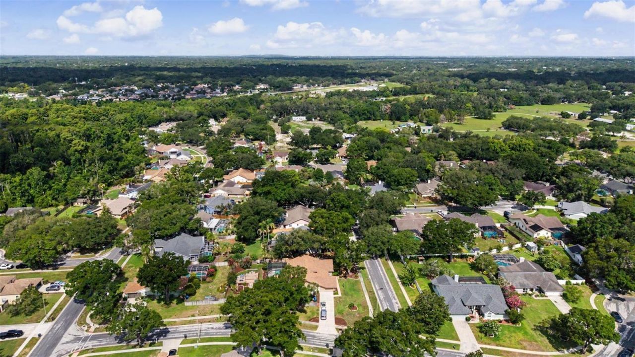 3916 Broomsedge Lane, Valrico, FL 33596 Photo