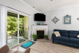 106 Scotch Broom Dr.  photo 4
