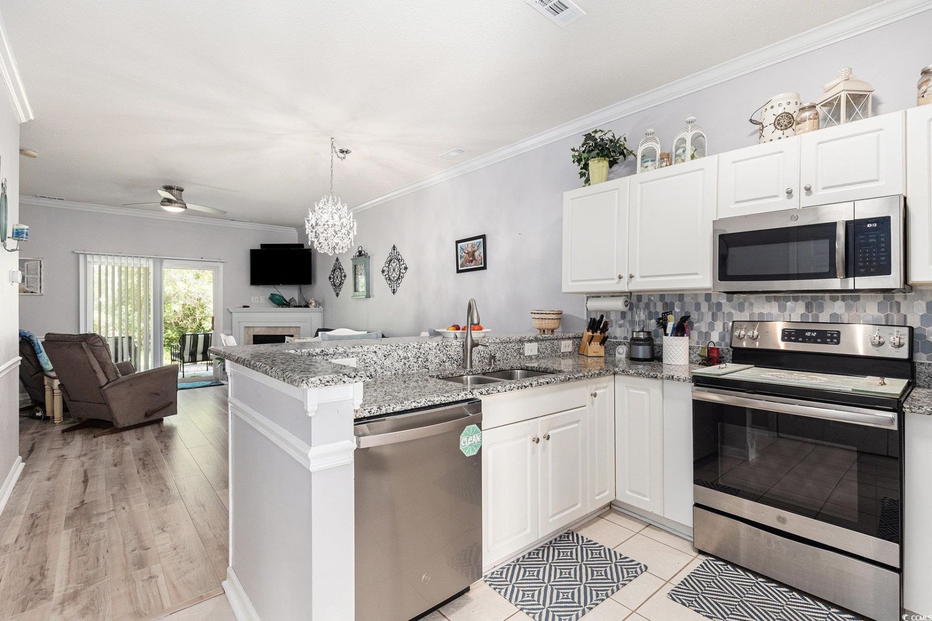 106 Scotch Broom Dr.  Photo 4