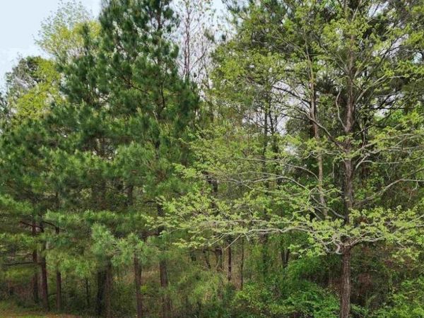 Lot 24 Evergreen St , El Dorado, AR 71730