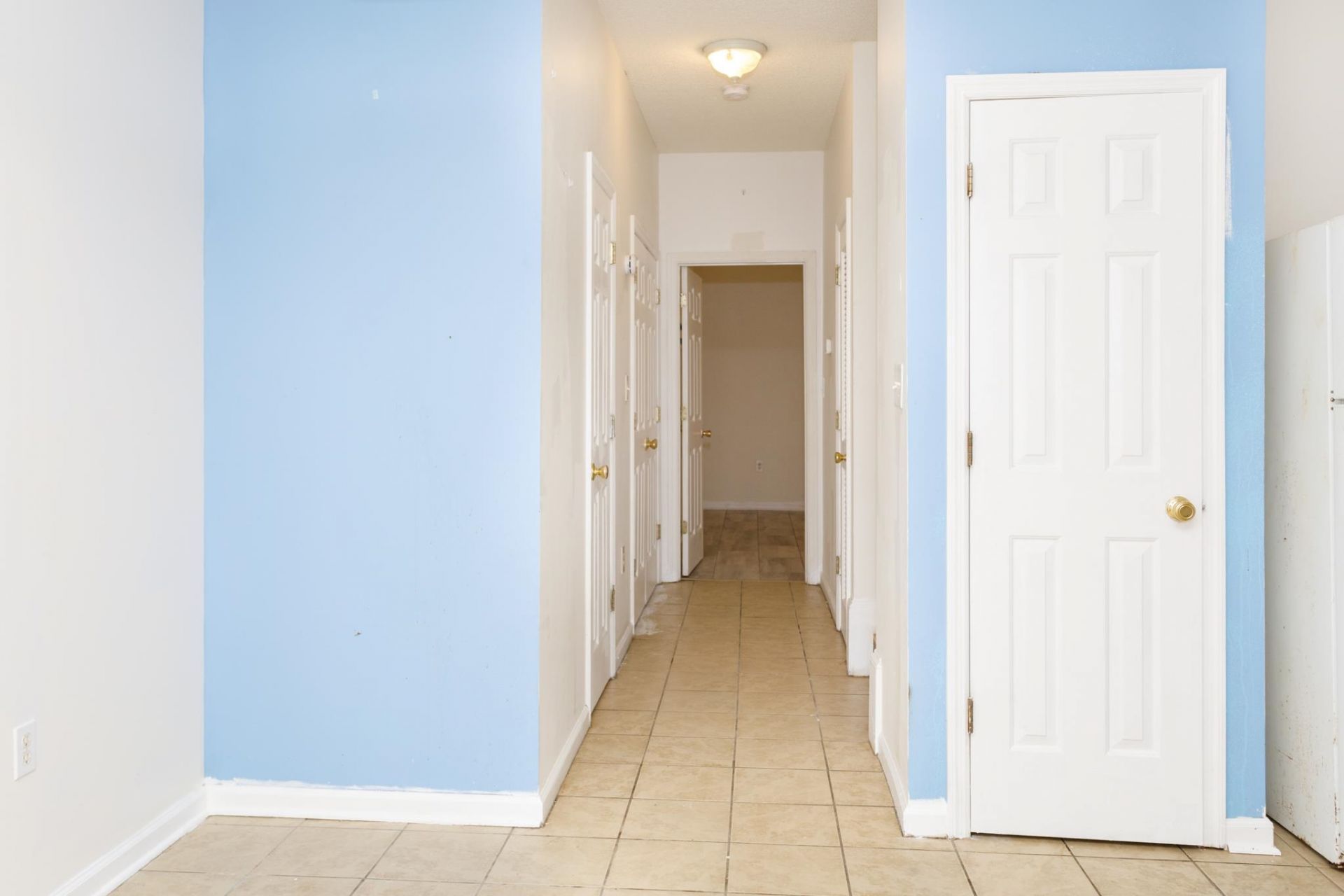 105 Spring Creek Dr.  Photo 6