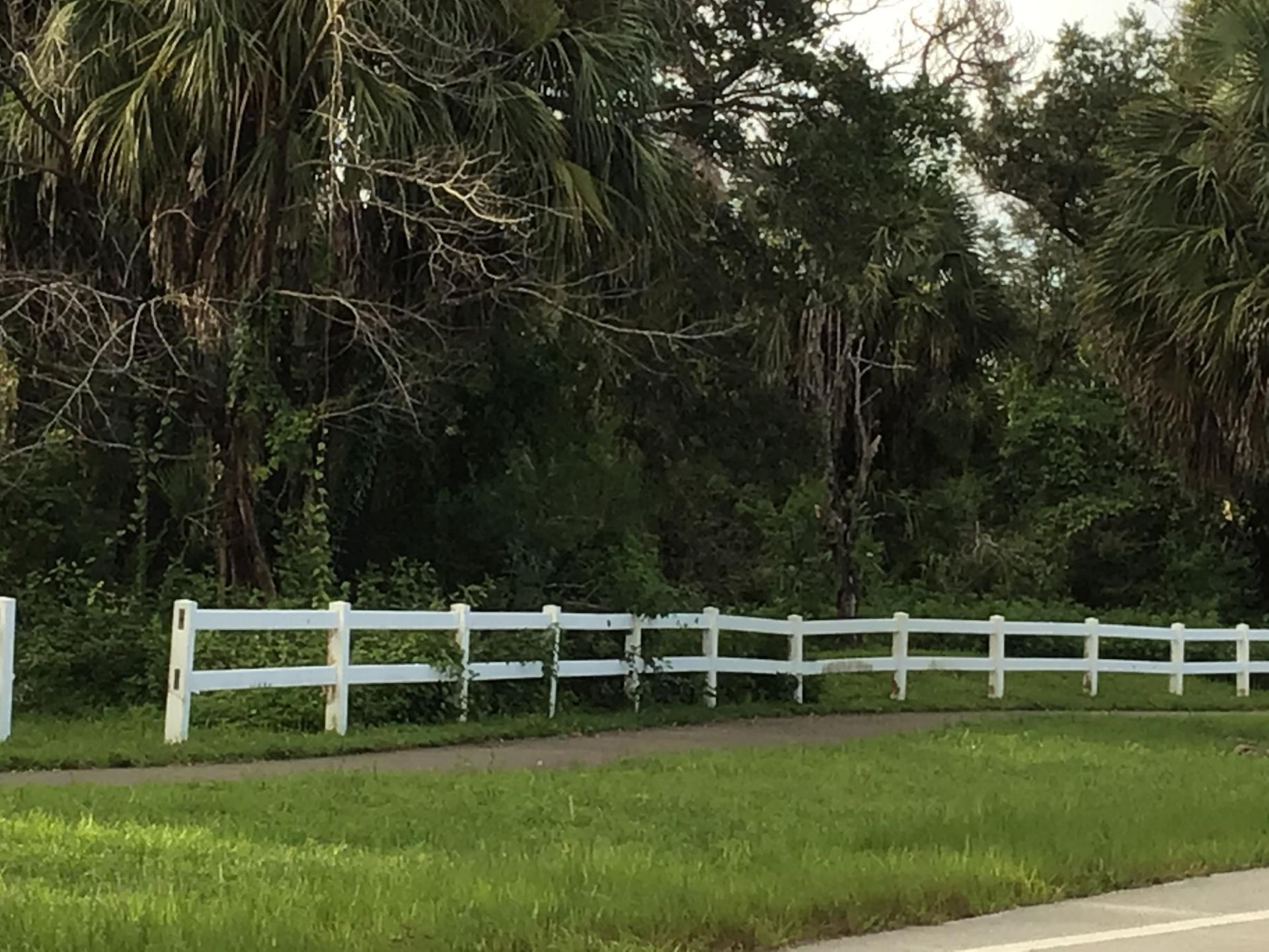 4109 NW 88th Avenue, Unit 207, Coral Springs, FL 33065 Photo