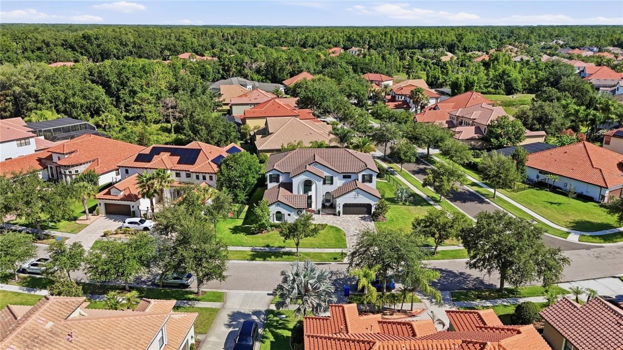 8413 Dunham Station Drive, Tampa, FL 33647 Photo